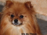 Du Val Des Trois Tilleuls