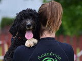 Académie Canine RM