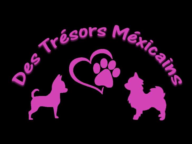 Des Trésors Mexicains