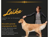 GrCh Can De la Giraudais Laïka