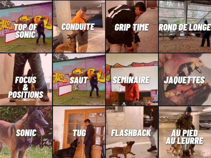 Compte Instagram Canin'Side
