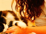 Entre de Bonnes Pattes – Garde d’animaux à domicile – Lons-le-Saunier et ses alentours