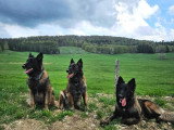 Jango Camp