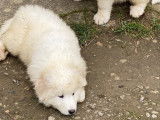 Du Hameau Des Nours