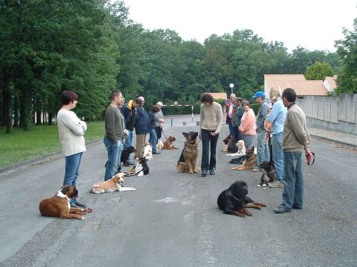 Centre Canin André Martin