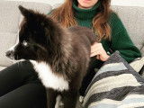 Eva Wattequand