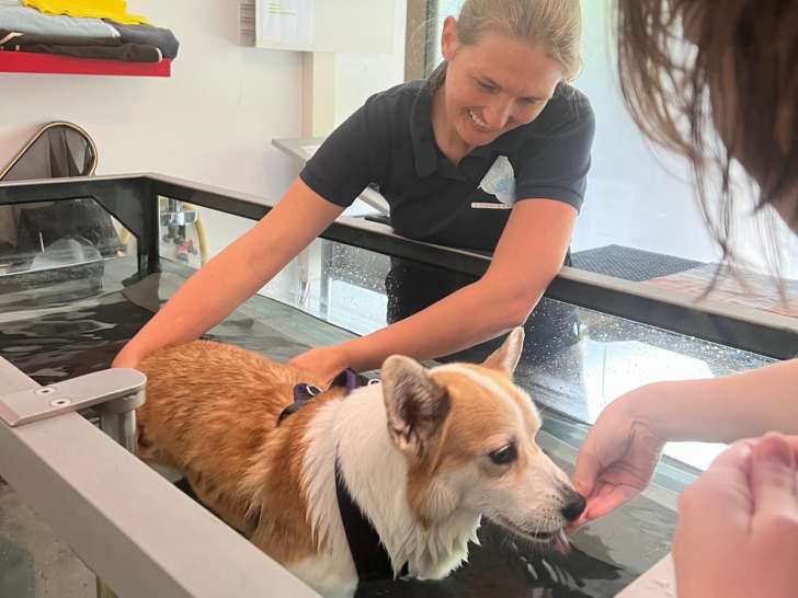 Séance d'hydrothérapie avec un tapis immergé