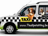 ThudiPetSitting