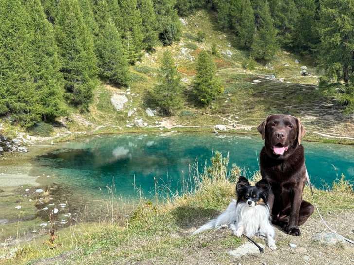 L’Étoile d’Ourale