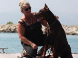 Keyala - Wot A Thriller Dobermanns & Pinschers