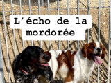 De L'Echo De La Mordorée