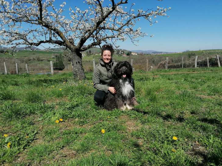 La Truffe Educative - Éducateur et comportementaliste canin – Séance à domicile – Ouest Lyonnais