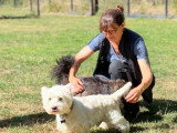 Animo Hotel