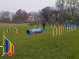 Go2Agility