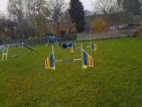 Go2Agility