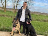 Alta Dog Clément Simon Educateur et comportementaliste canin – Troyes et ses alentours
