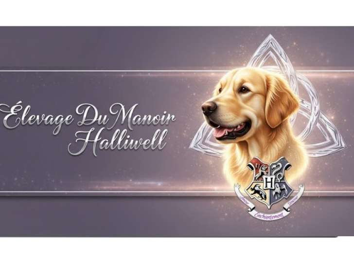 Du Manoir Halliwell