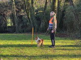 De La Forêt Des Celtes