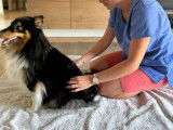 Agnès Massage Canin