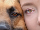 G'Duc Mon Chien