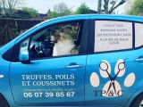 Truffes, Poils et Coussinets