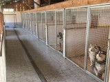 Woodhaven Kennels