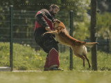 Legend'Of Ki Breizh