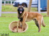 Legend'Of Ki Breizh