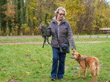 Education du retriever en parc 92