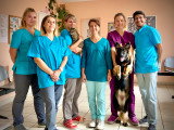 Clinique vétérinaire des Açores