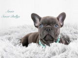 Sweet Bullies