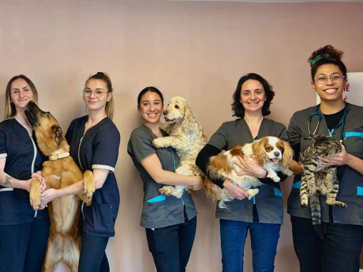 Clinique vétérinaire Andromède