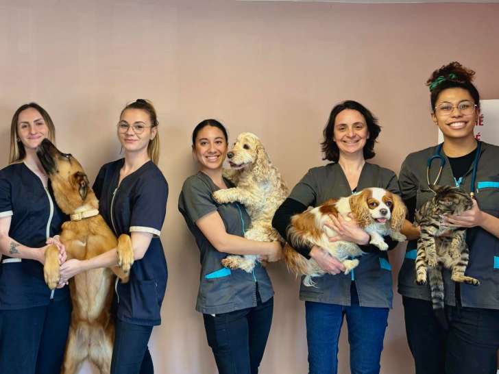 Clinique vétérinaire Andromède