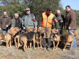 Des Limiers De L'Adour