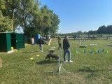 Training Club Canin de Beinheim