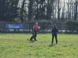 Training Club Canin de Beinheim