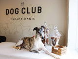 Le Dog Club