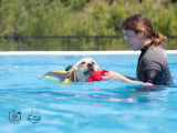 Aqua Canin Sherbrooke