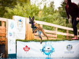 Aqua Canin Sherbrooke