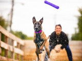 Aqua Canin Sherbrooke