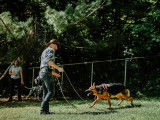 Centre Canin Rose Proulx