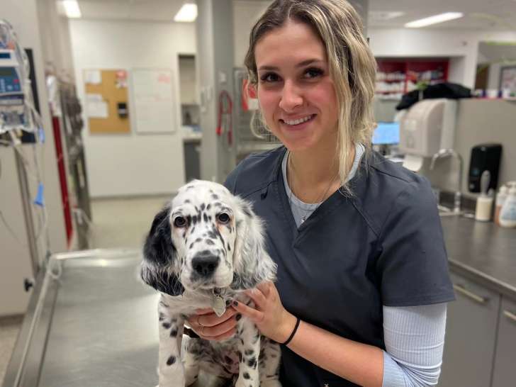 Hôpital vétérinaire de Sherbrooke