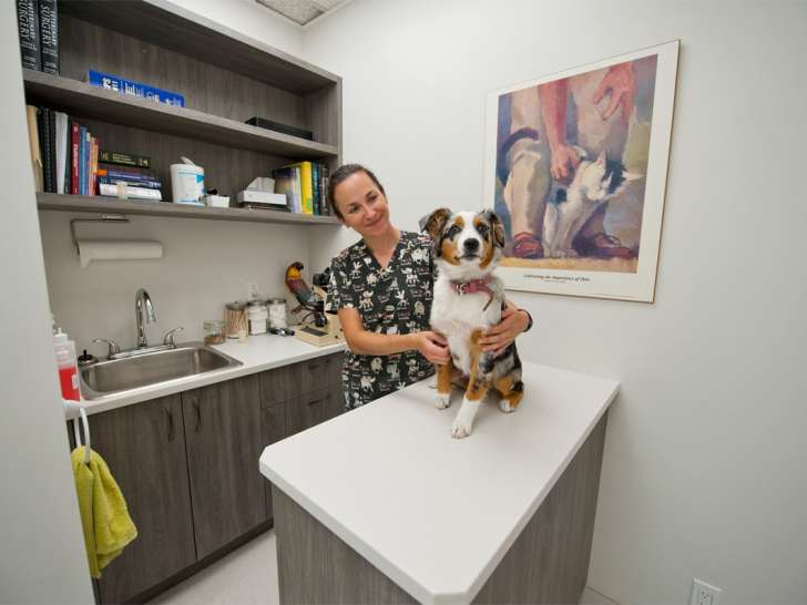 Hôpital vétérinaire Dufferin