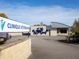 Clinique vétérinaire Bain-de-Bretagne
