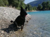 Comportement Complice