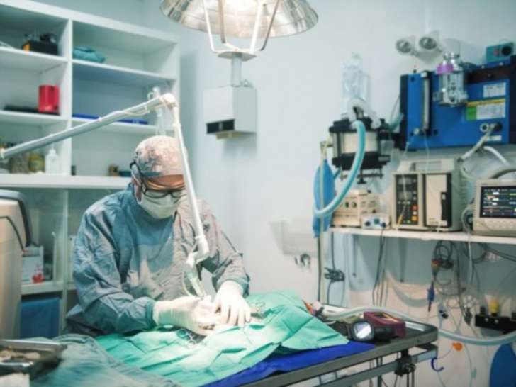 Clinique Vétérinaire Cartier-Des-Laurentides