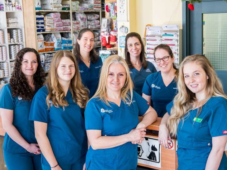 Clinique Vétérinaire Samson