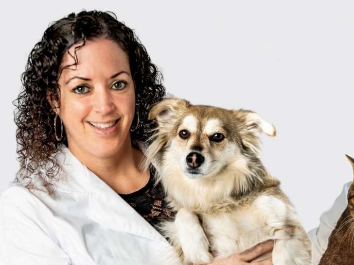Clinique vétérinaire Vraiment Bête