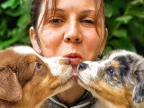 Au rythme canin