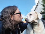 Pets Équilibre